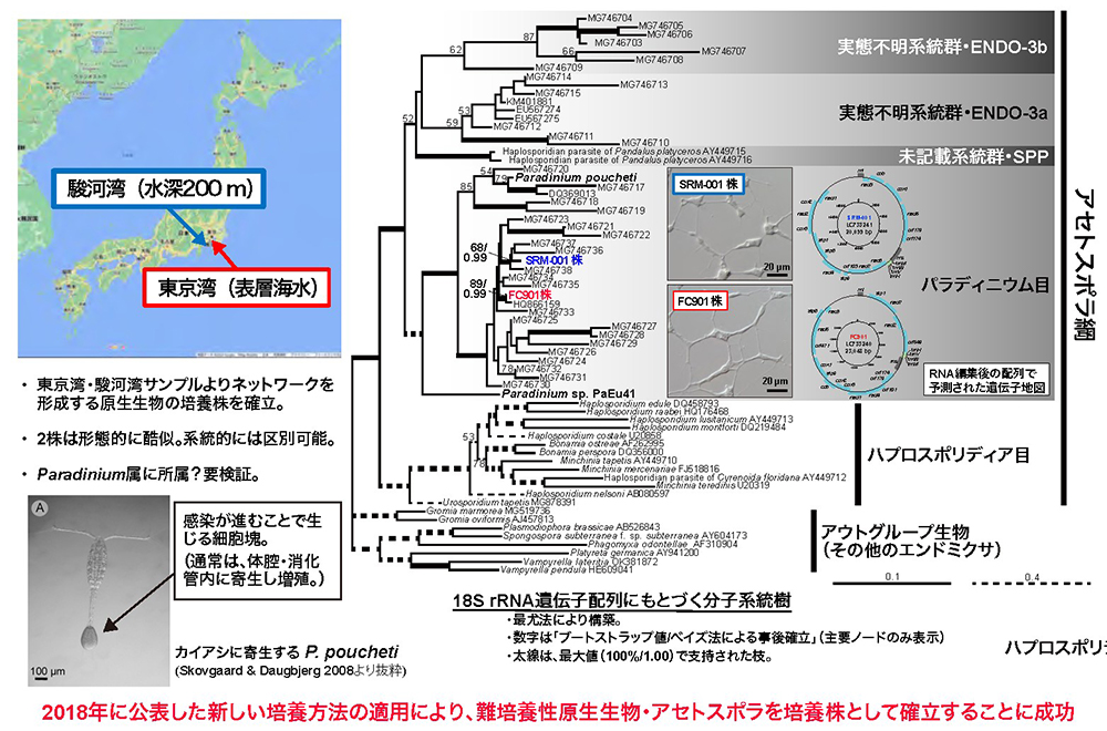 図6