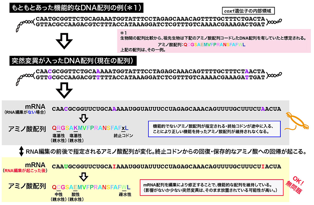 図7
