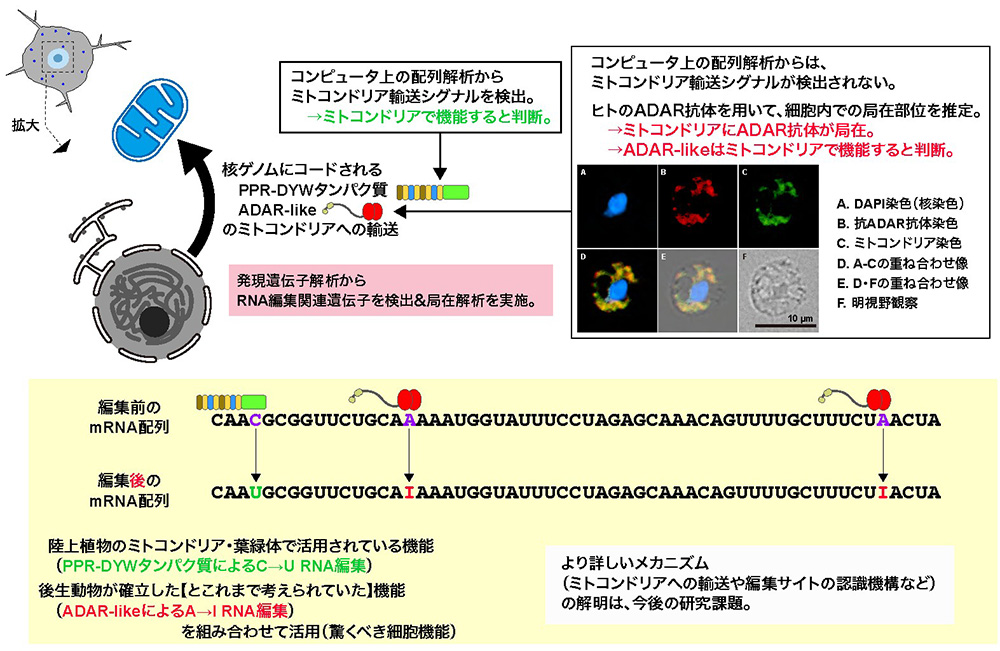 図8