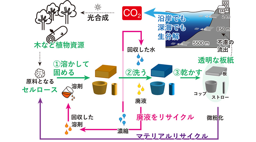 図5