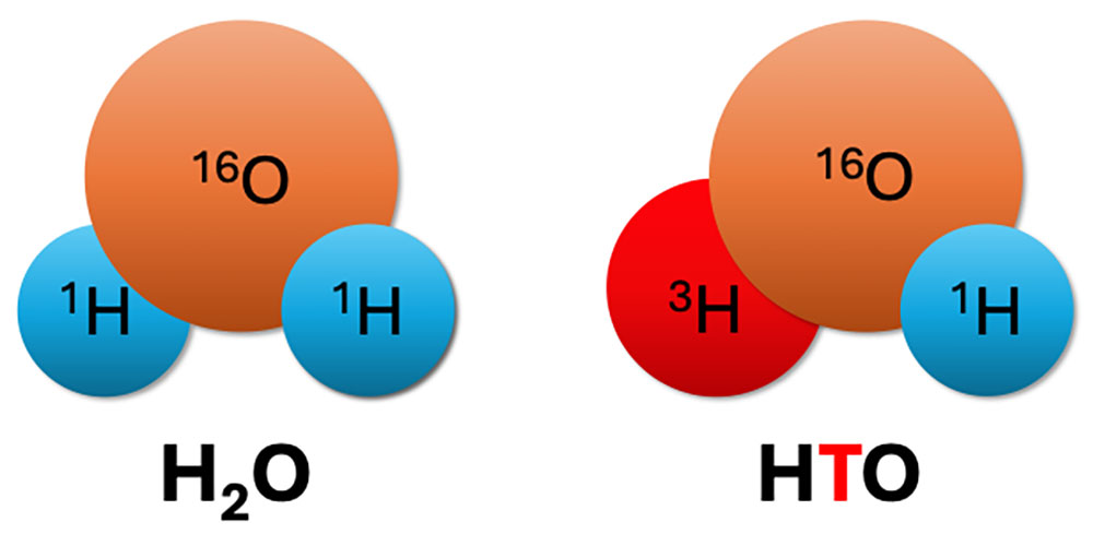 図1
