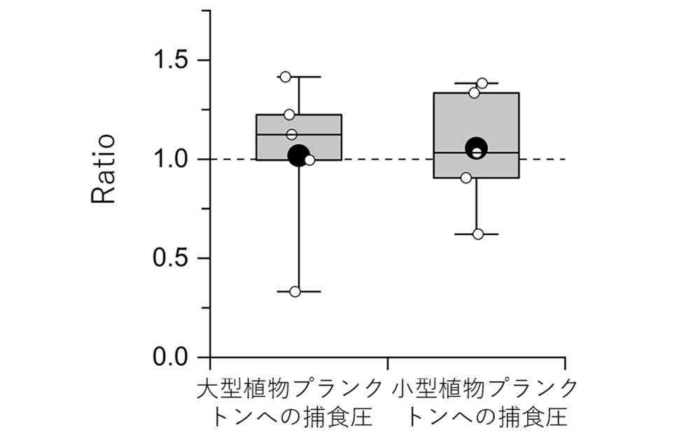 図4