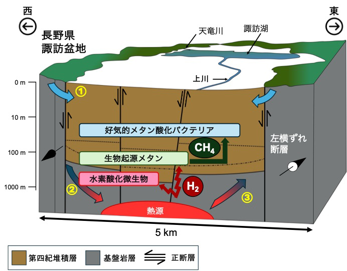 図4