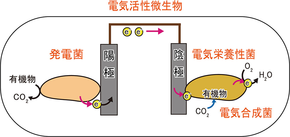 図1