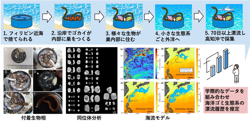 図解要約