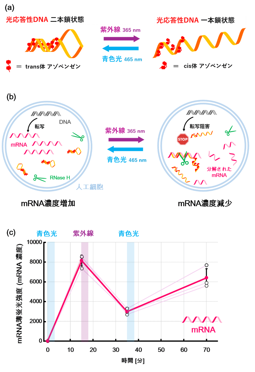 図1