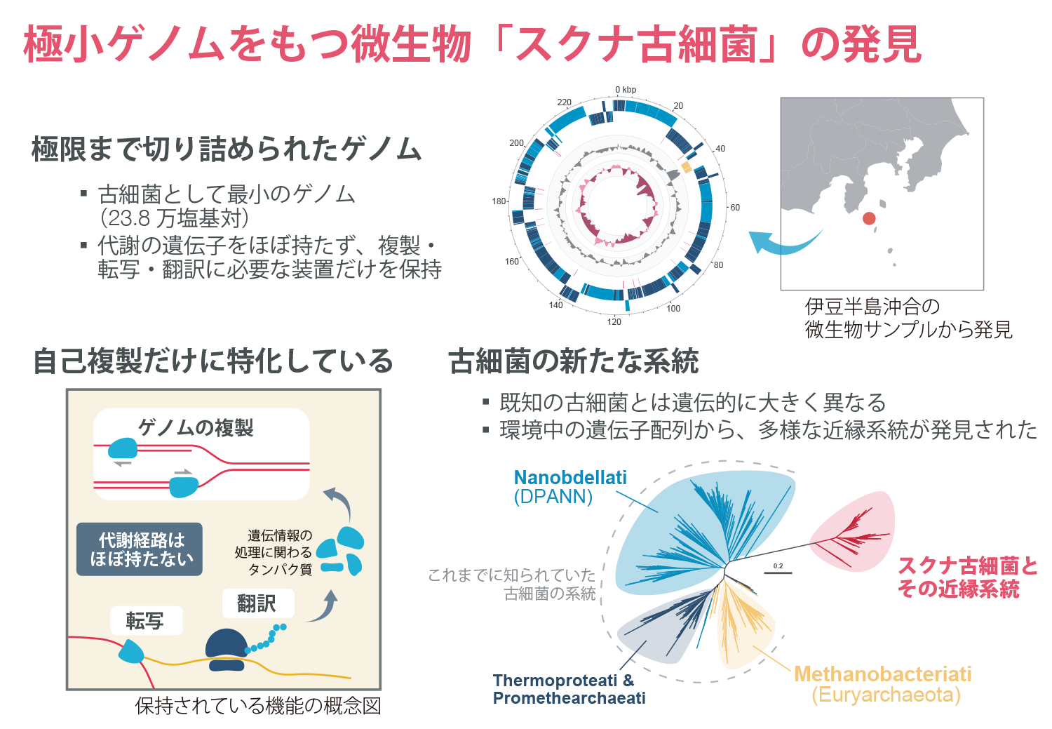 図1