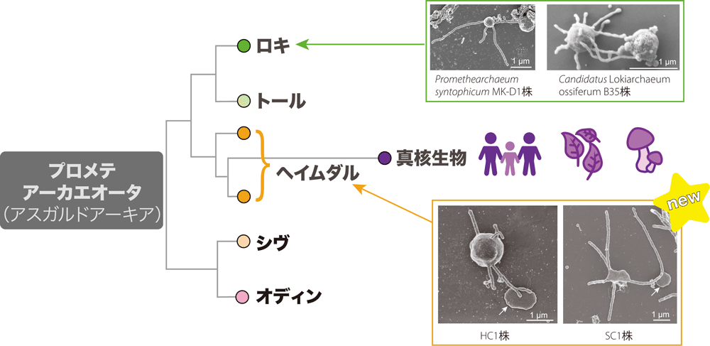 図１