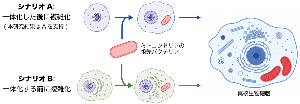 図3