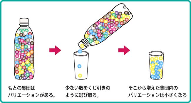 JAMSTEC｜海洋研究開発機構｜ジャムステック話題の研究 謎解き解説