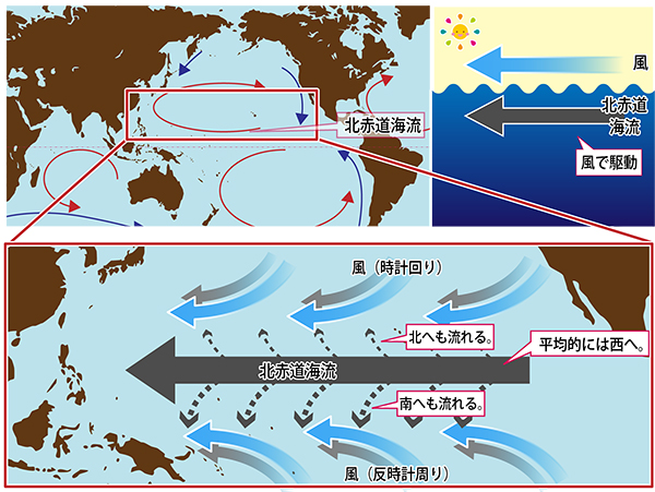 日本 の 周り の 海流