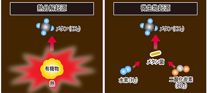 JAMSTEC｜海洋研究開発機構｜ジャムステックJAMSTEC｜海洋研究開発機構｜ジャムステック話題の研究 謎解き解説