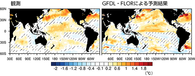 図1 観測とFLORでシミュレートされた2018年7-11月の海面水温偏差。斜線部は偏差が統計的に有意でない領域
