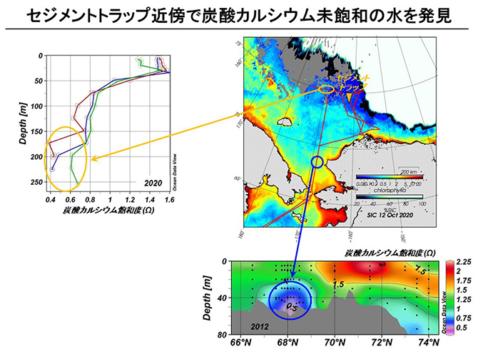 セジメントトラップ近傍で炭酸カルシウム未飽和の水を発見