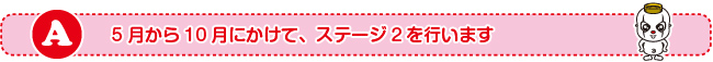 5月から10月にかけて、ステージ2を行います