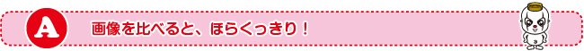 画像を比べると、ほらくっきり!