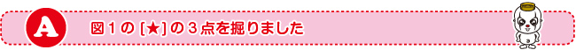 図1の★の3点を掘りました