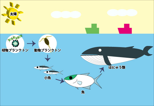 知ろう 記者に発表した最新研究 ジャムステック キッズ 海洋研究