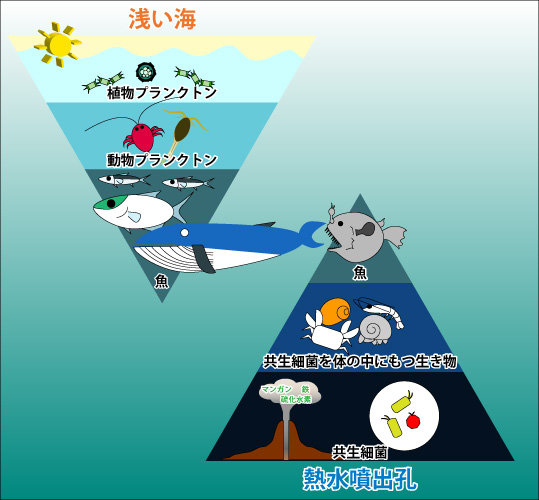 知ろう 記者に発表した最新研究 ジャムステック キッズ 海洋研究開発機構