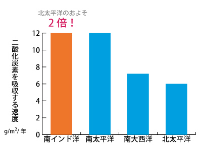 CO2zʂ̔䂩