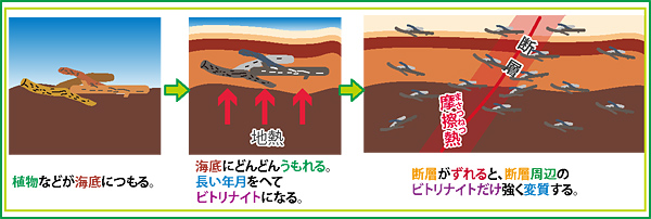 ビトリナイト