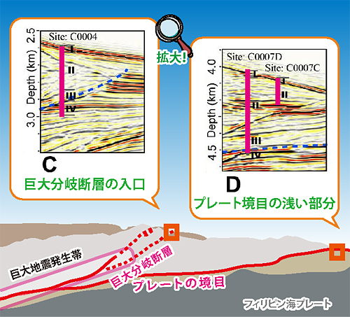 コアを取り出したところ
