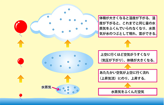 知ろう 記者に発表した最新研究 ジャムステック キッズ 海洋研究開発機構