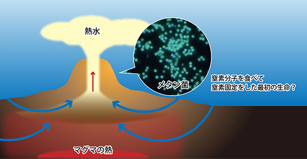 図2 熱水噴出孔のメタン菌