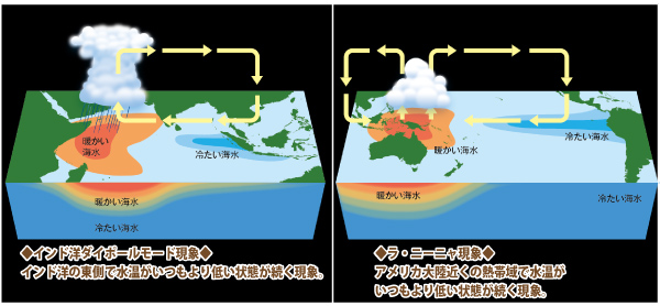 図5　地球温暖化に伴い熱帯域で発生する異常現象