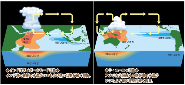 図5 地球温暖化に伴い熱帯域で発生する異常現象