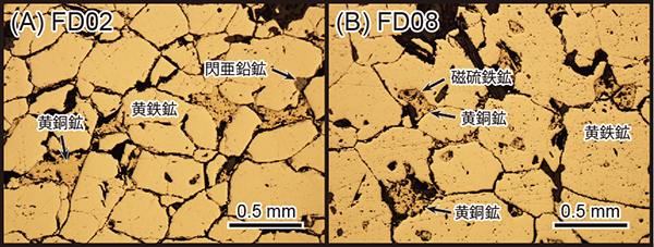 写真2 顕微鏡でみた日立鉱床の硫化物鉱石