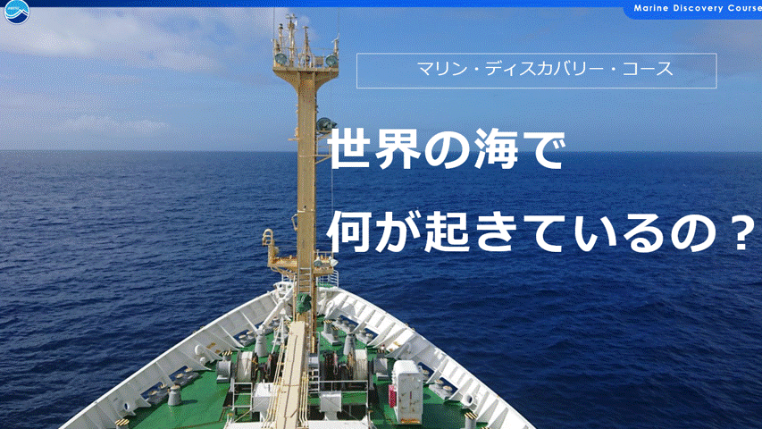 5．世界の海で何が起きているの？