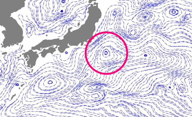 黒潮続流・再循環域の図