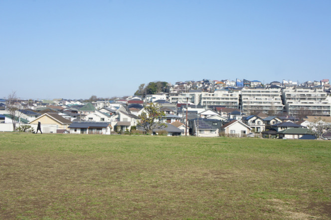 写真。丘の上から主に一軒家が連なる住宅街を見下ろしている。