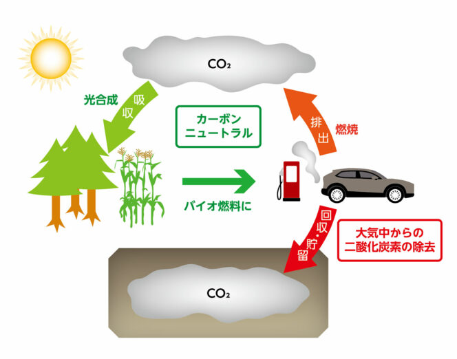 バイオ燃料によるカーボンニュートラルと大気中からの二酸化炭素の除去のイメージ図