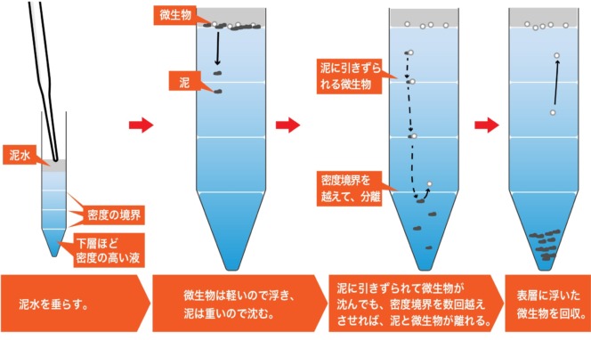 模式図