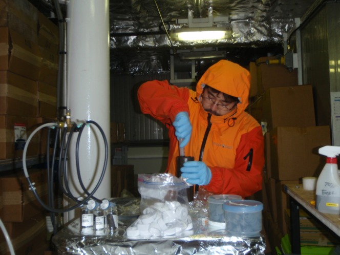 写真。男性研究員が金属製の容器を用いて試料をすりつぶしている作業の様子