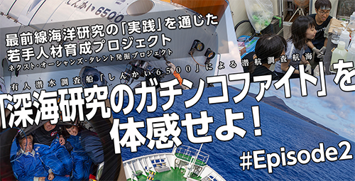 画像 若手人材育成の公開