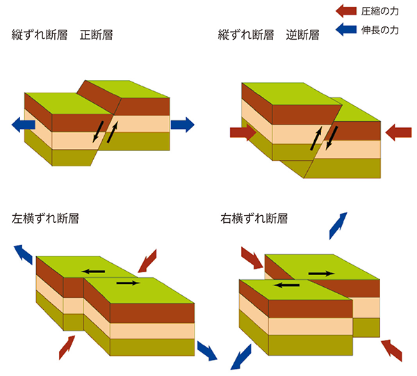 断層の種類との関係