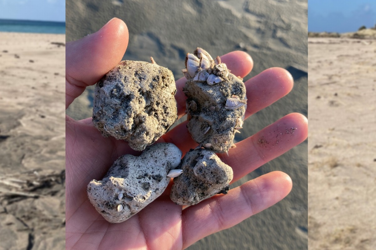 福徳岡ノ場の軽石を見る、あちこちで見る、じっくり見る、軽石以外も