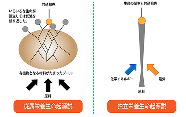 全生物の共通祖先は、混合栄養生命だった？ 生命誕生に迫る始原