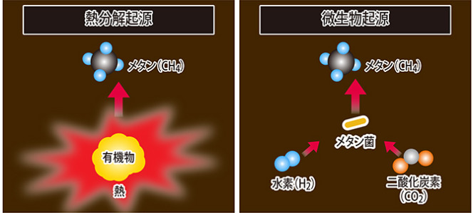 メタンの生成過程