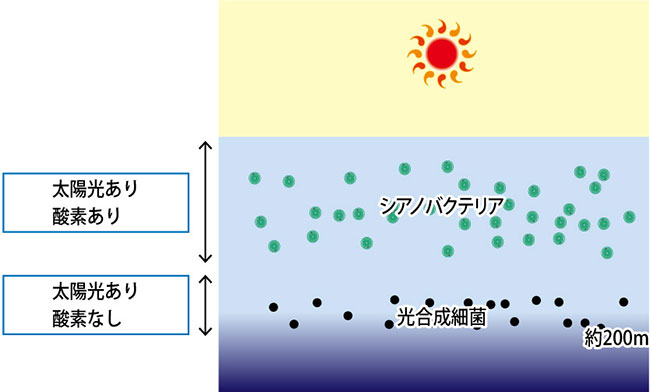 図9