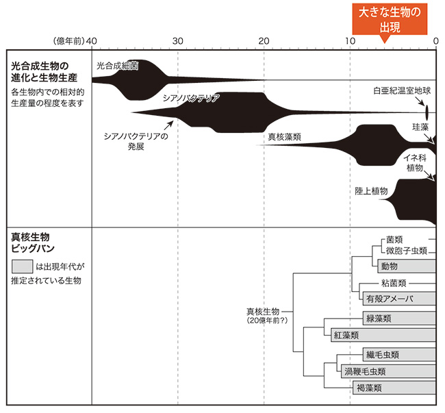 図11