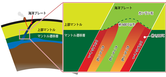 図5