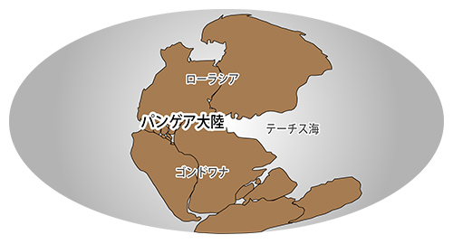 図1