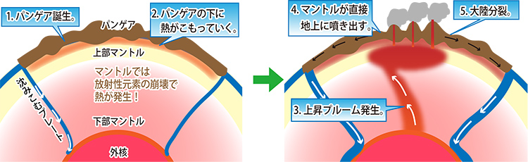図11