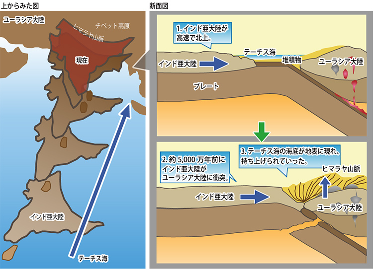 図12