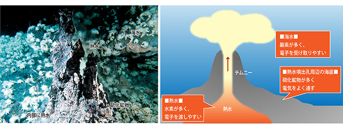 写真、図