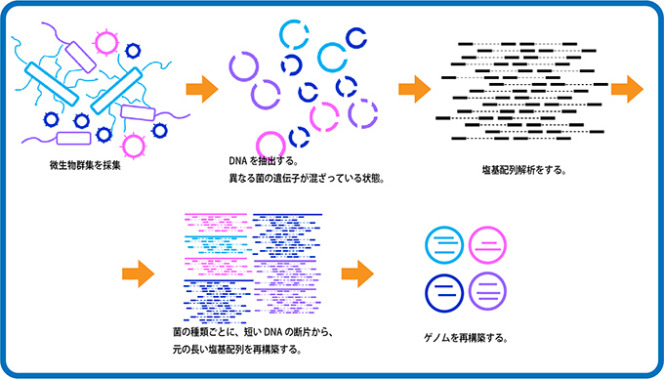 図2